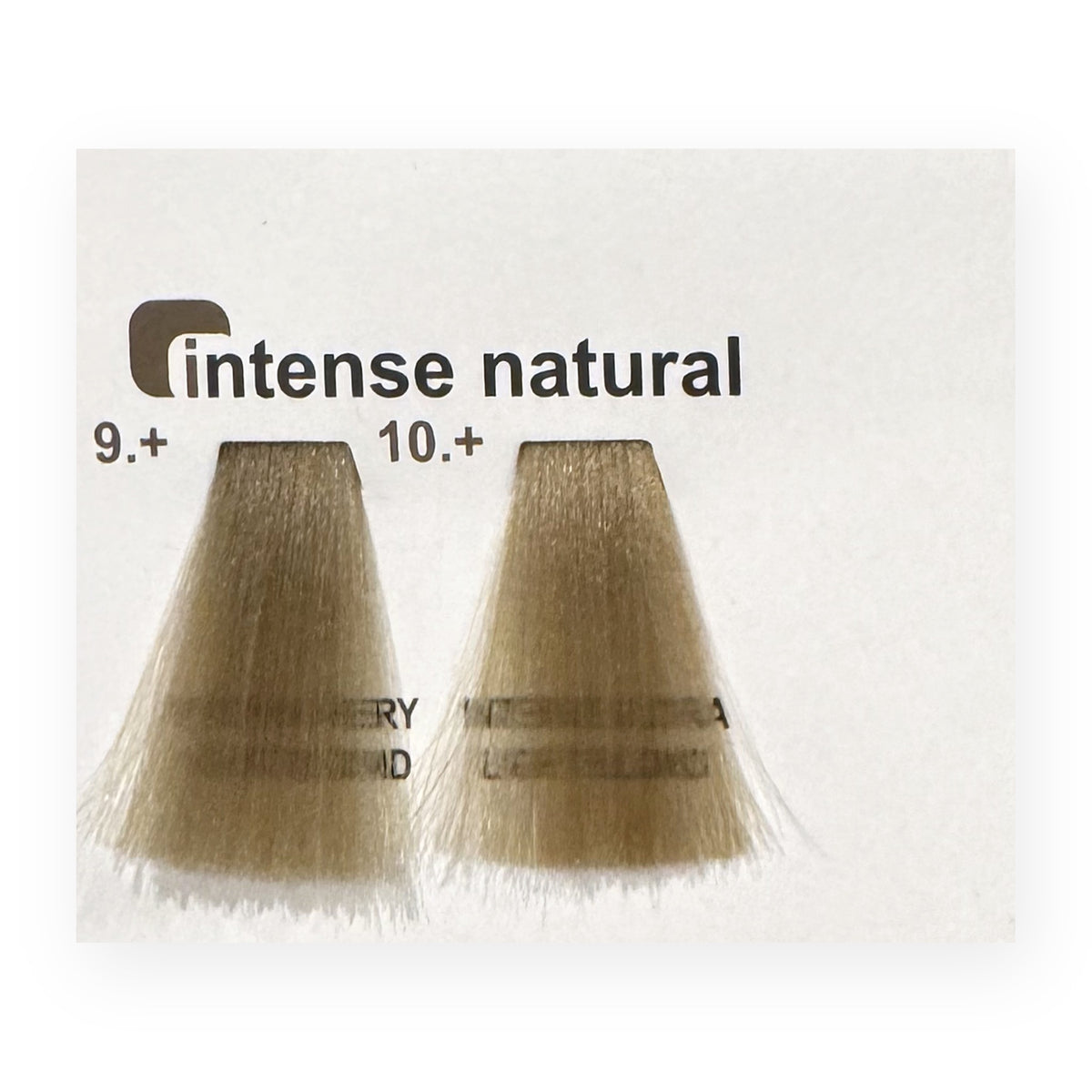 Ciocche intense natural di Vibrant Color Chart Up6 Mini: 9.+ e 10.+
