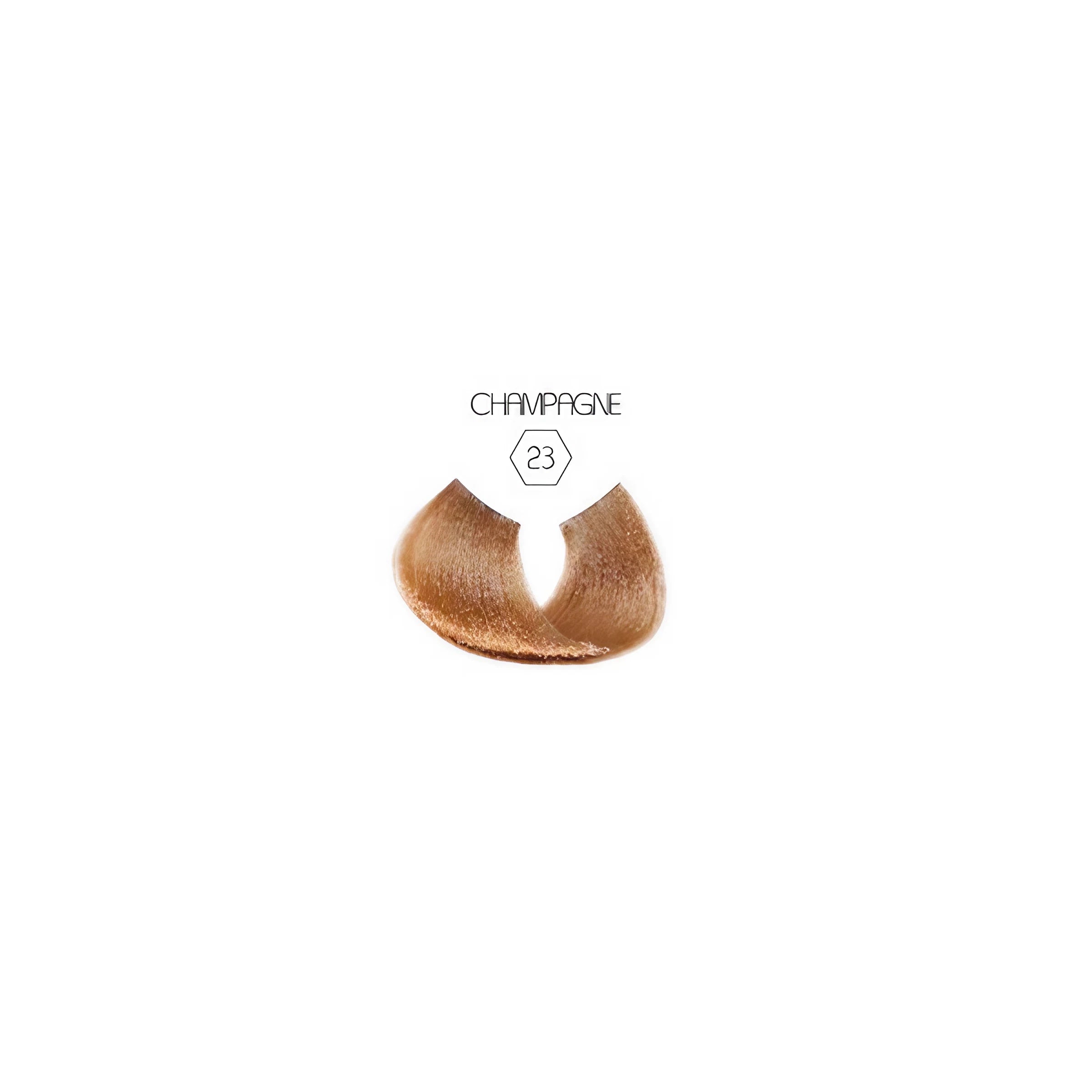 Gems 23 Champagne
